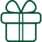 gift icon in green